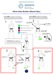 kihon kata shodan 1